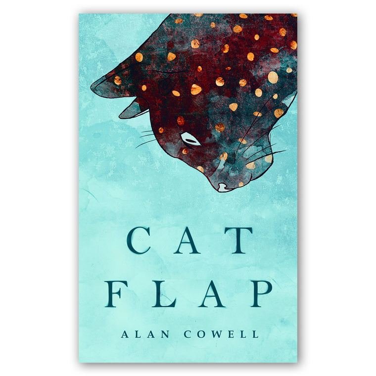 Book cover from the Amazon Book Publication portfolio