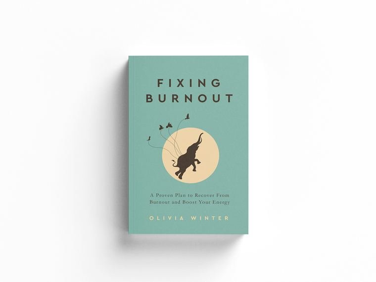 Book cover from the Amazon Book Publication portfolio